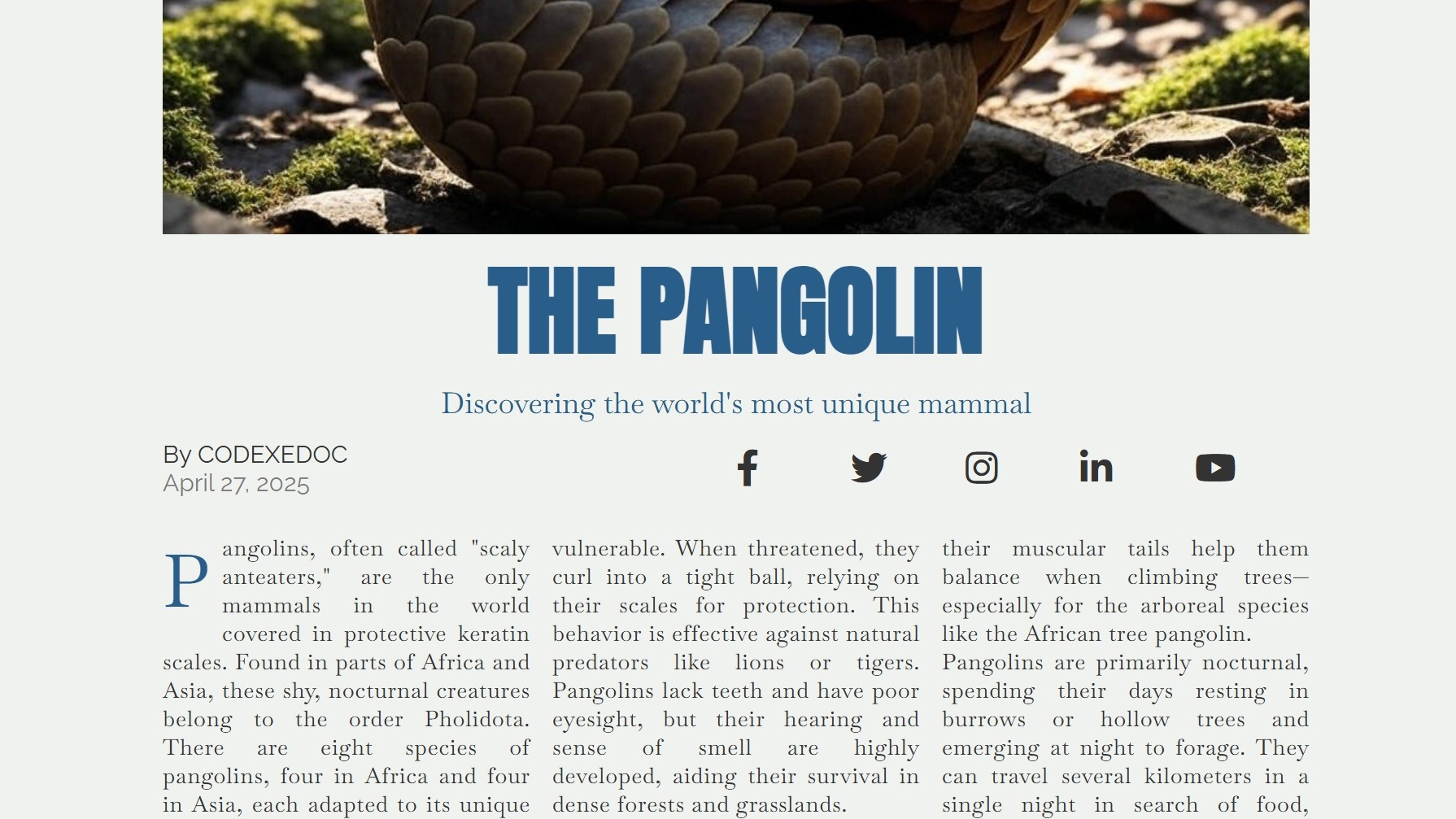 Pangolin Magazine Hero Section